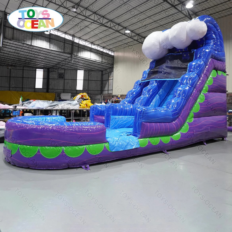Noleggio Scivolo Gonfiabile Co - Water Slide Inflatable recensione e prezzo