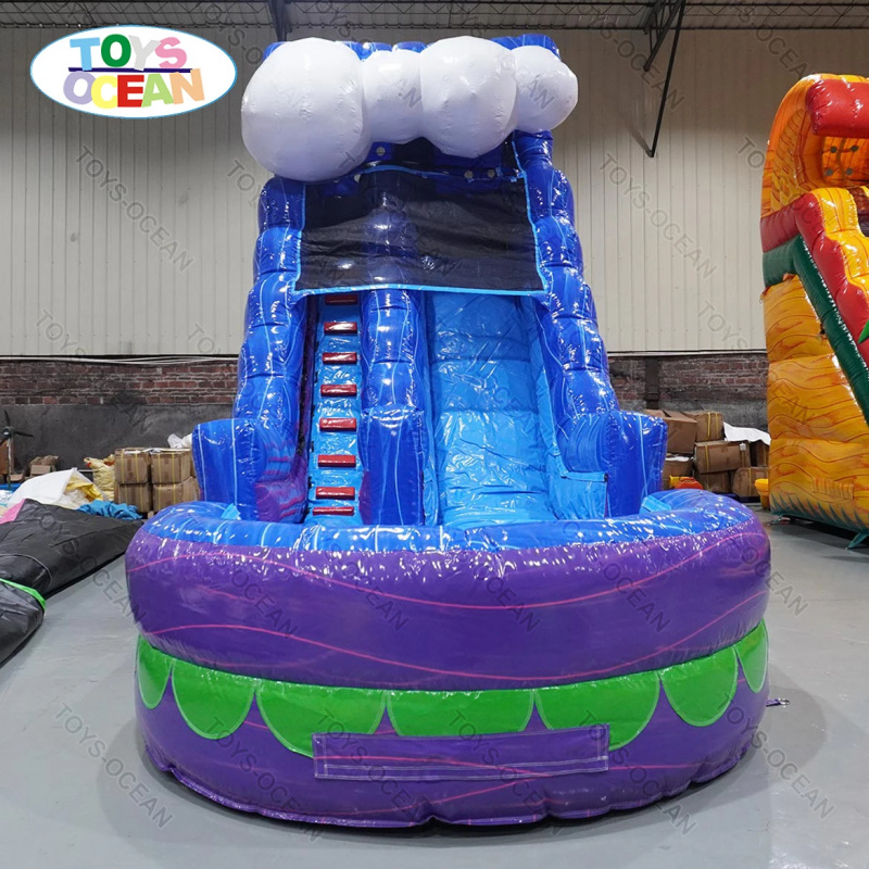 Noleggio Scivolo Gonfiabile Co - Water Slide Inflatable recensione e prezzo