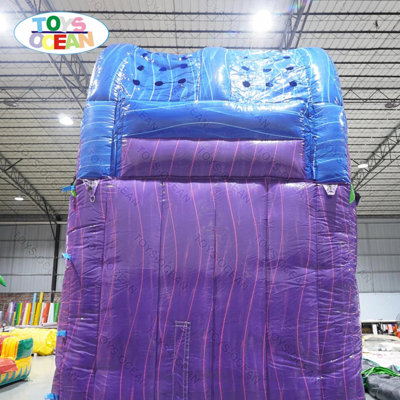 Noleggio Scivolo Gonfiabile Co - Water Slide Inflatable recensione e prezzo